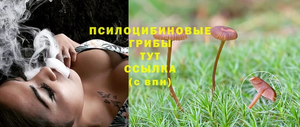 стаф Балахна
