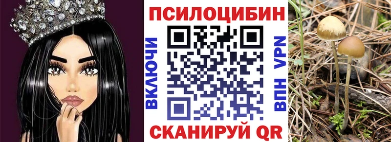 Псилоцибиновые грибы MAGIC MUSHROOMS  Ялуторовск 